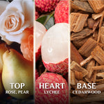 Scent layer of Good Virtues Co. Lychee & May Rose EDT 50ml with Top Rose, Pear, Heart Lychee, and Base Cedarwood.
