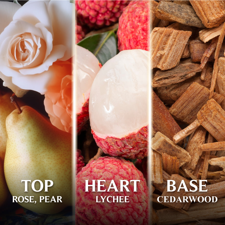 Scent layer of Good Virtues Co. Lychee & May Rose EDT 50ml with Top Rose, Pear, Heart Lychee, and Base Cedarwood.