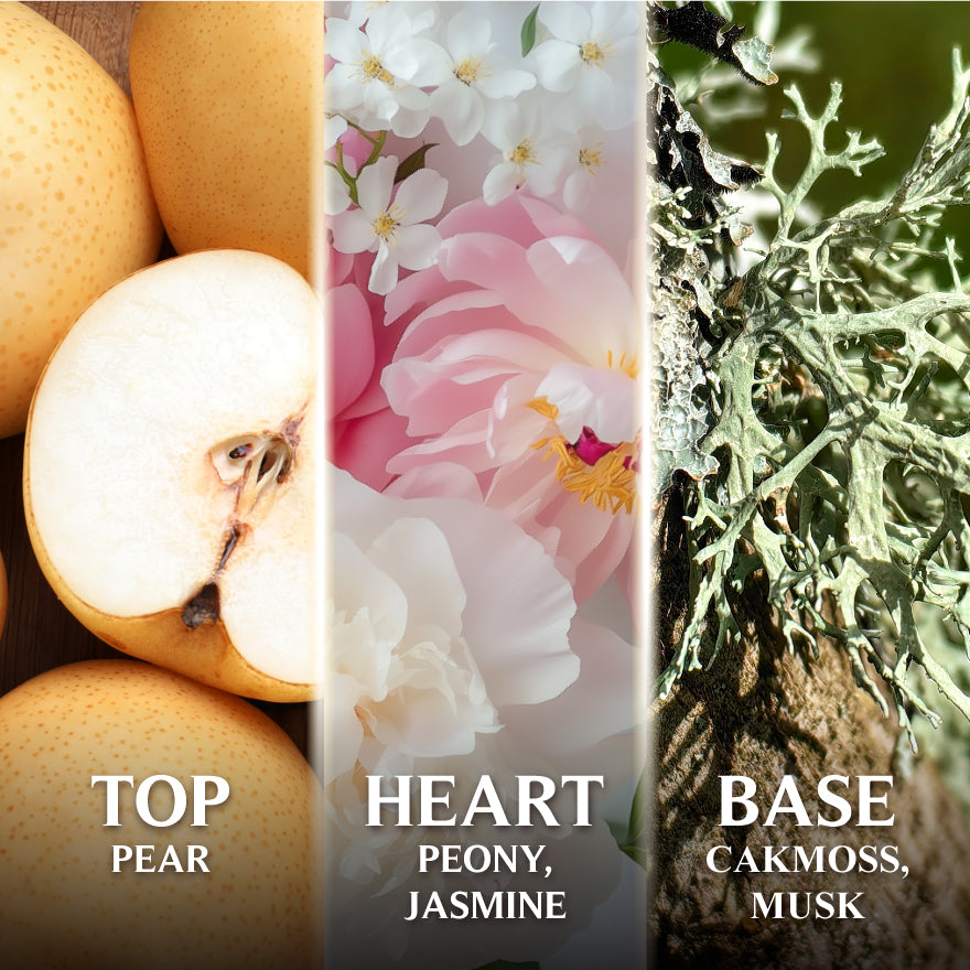Scent breakdown of Good Virtues Co. Pear and Peony Eau De Toilette