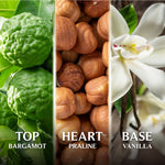 Scent layers of Good Virtues Co. Praline & Vanilla Eau De Toilette (50ml) with Top Bargamot, Heart Praline and Base Vanilla.